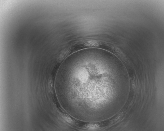 X0000054400322200508051720