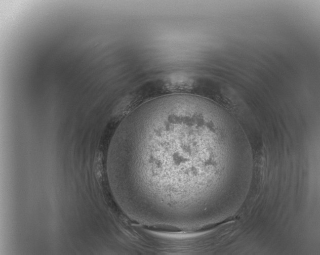 X0000054400323200508051720