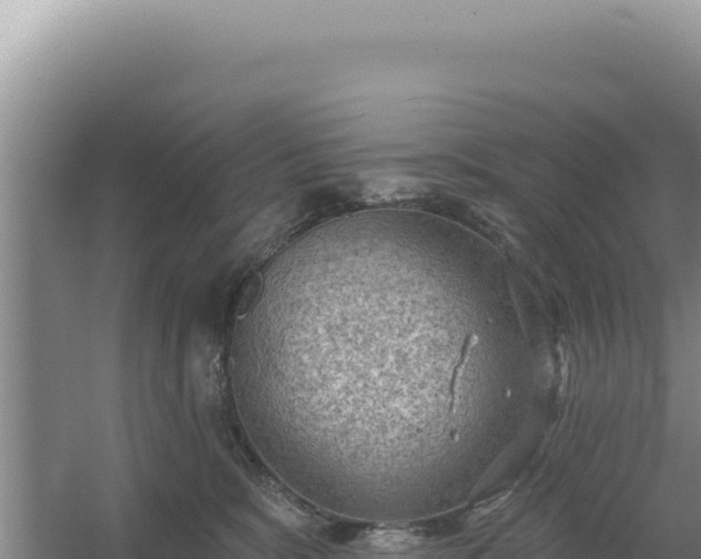 X0000054400327200508051720