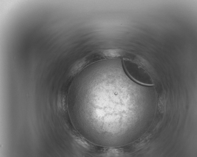 X0000054400330200508051720