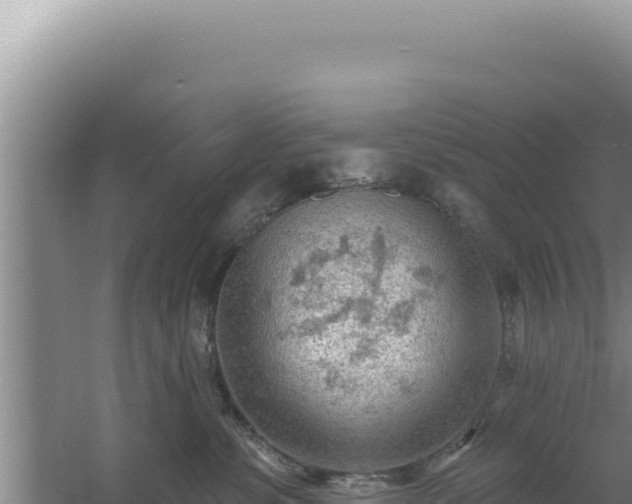 X0000054400331200508051720