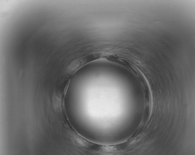 X0000054400333200508051720