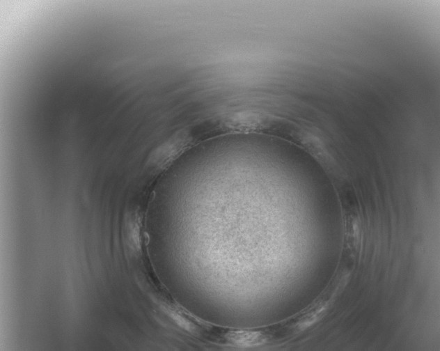 X0000054400334200508051720