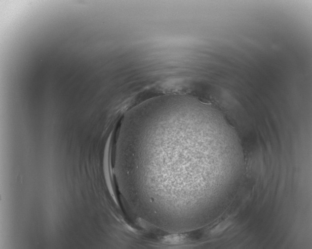 X0000054400335200508051720