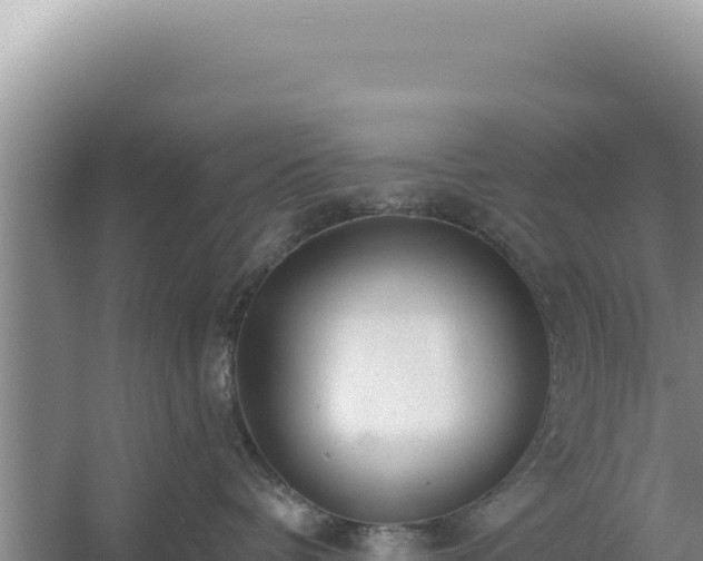 X0000054400336200508051720