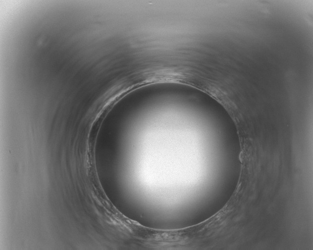 X0000054400338200508051719