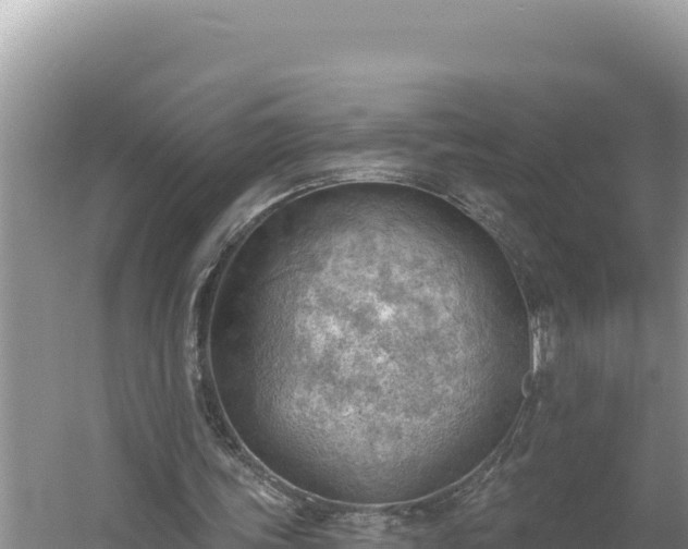 X0000054400339200508051719