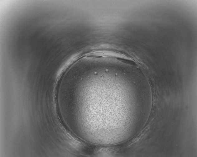 X0000054400341200508051719