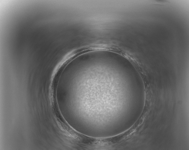 X0000054400343200508051719