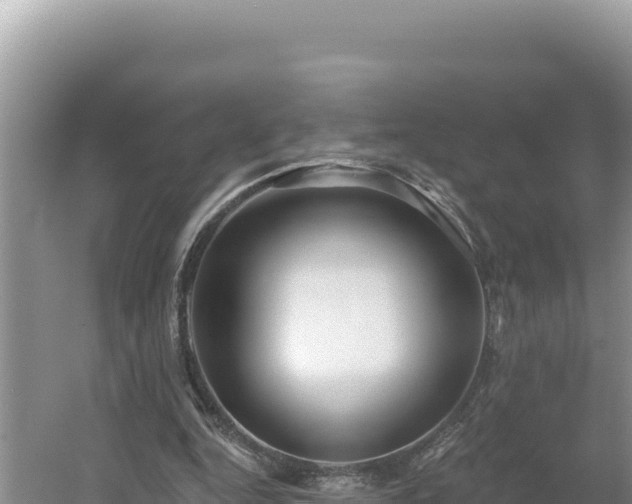 X0000054400344200508051719