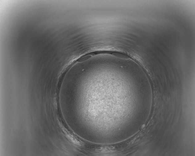 X0000054400345200508051719