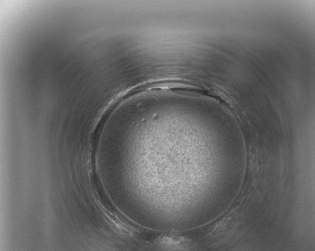 X0000054400346200508051719