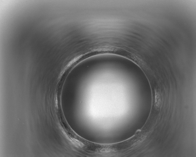 X0000054400348200508051719