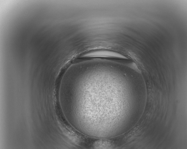 X0000054400354200508051719