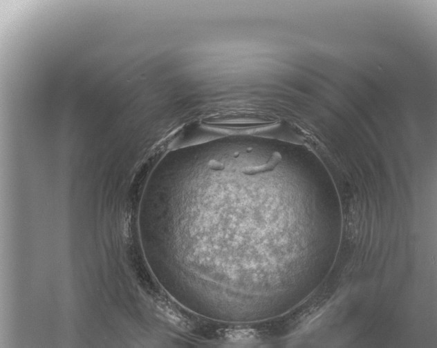 X0000054400355200508051719