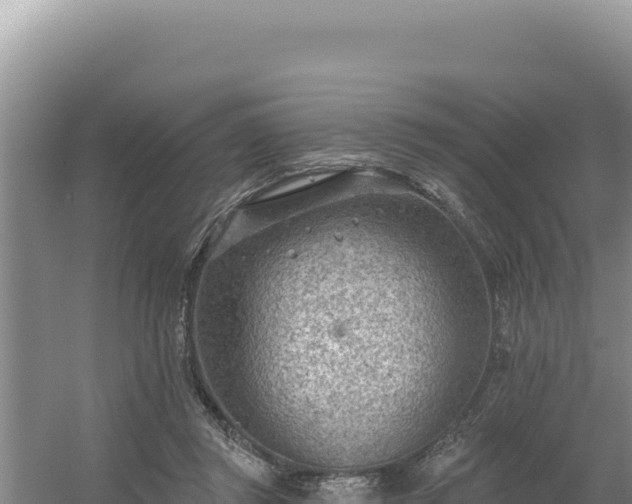 X0000054400357200508051719