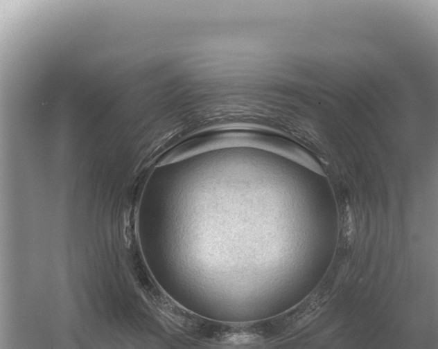 X0000054400360200508051719