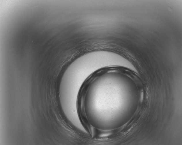 X0000054400362200508051720