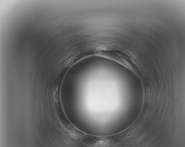 X0000054400364200508051720