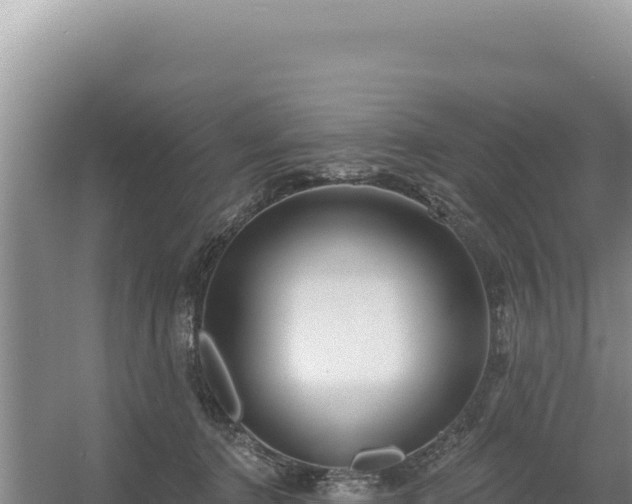 X0000054400368200508051720