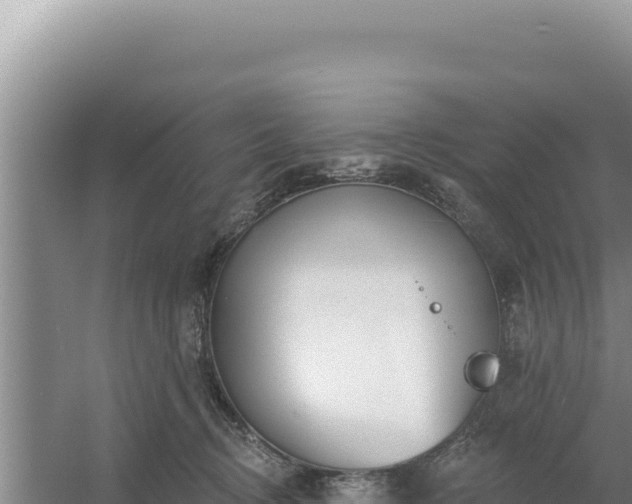 X0000054400370200508051720