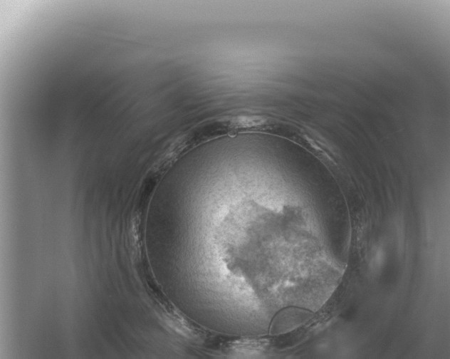 X0000054400373200508051720