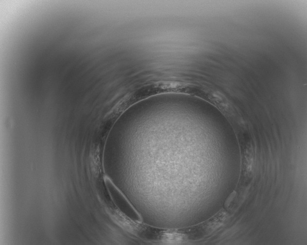 X0000054400376200508051720