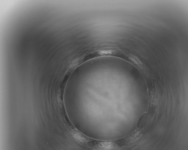 X0000054400377200508051720