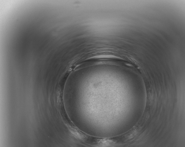 X0000054400379200508051720