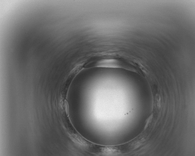 X0000054400380200508051720