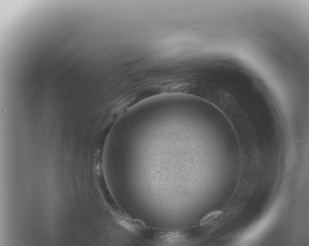 X0000054400383200508051720