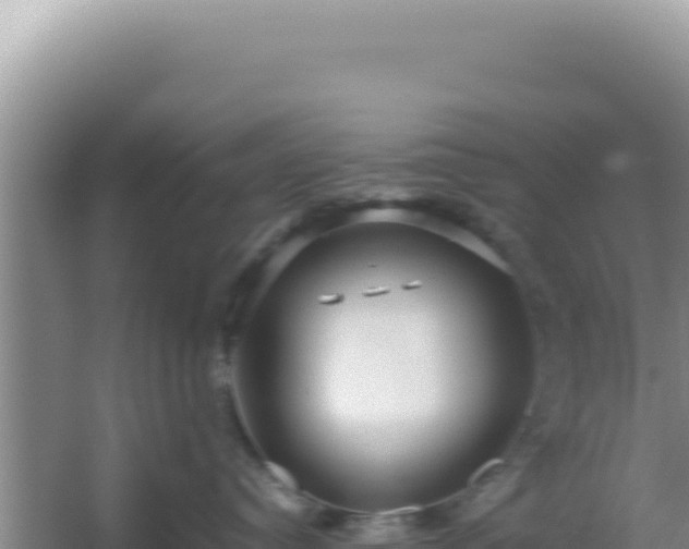 X0000054400384200508051720