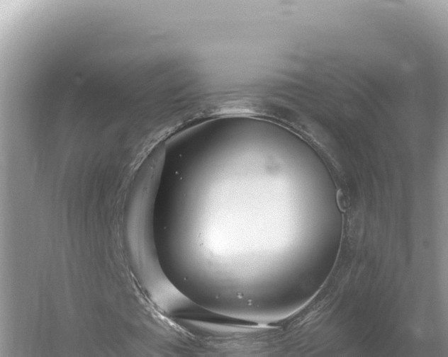 X0000054400385200508051719