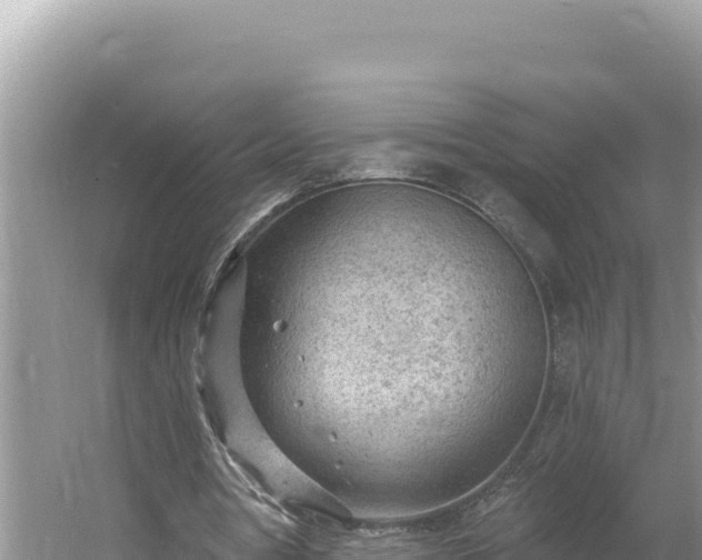 X0000054400386200508051719