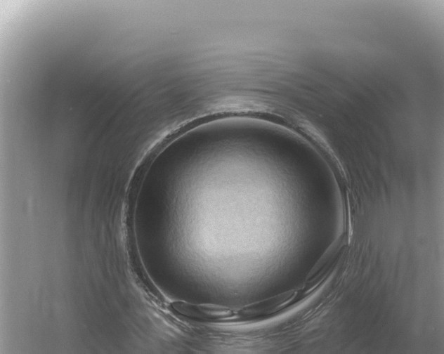 X0000054400387200508051719