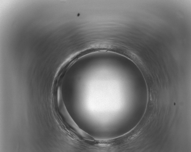 X0000054400388200508051719