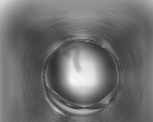 X0000054400389200508051719