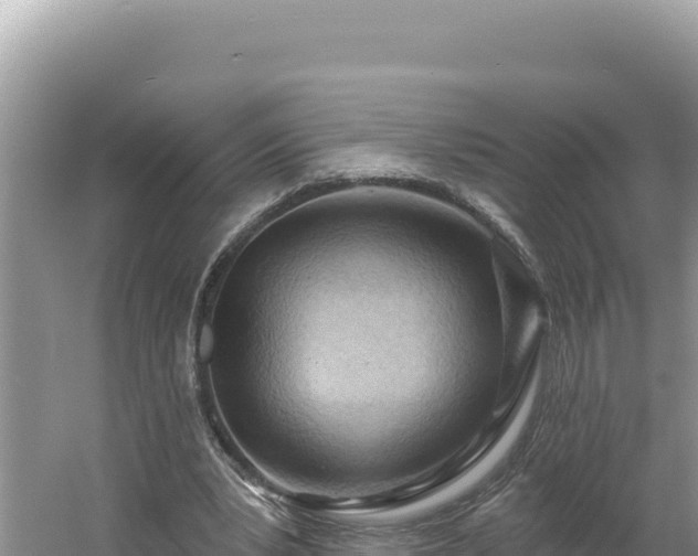 X0000054400391200508051719