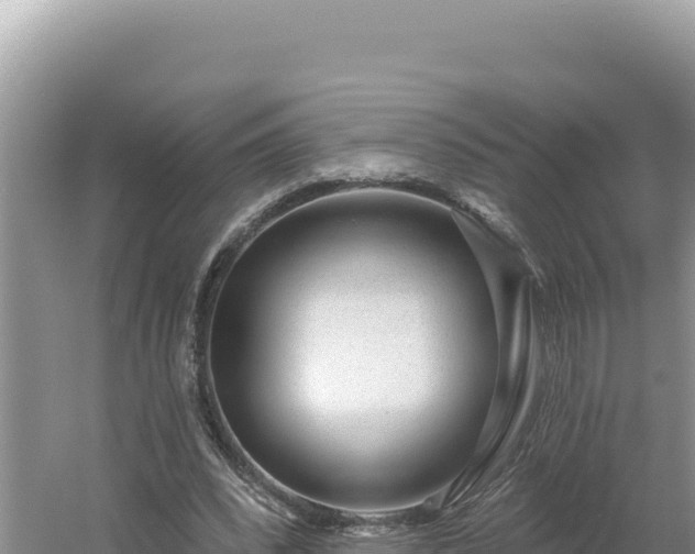 X0000054400392200508051719