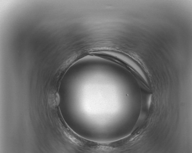 X0000054400393200508051719