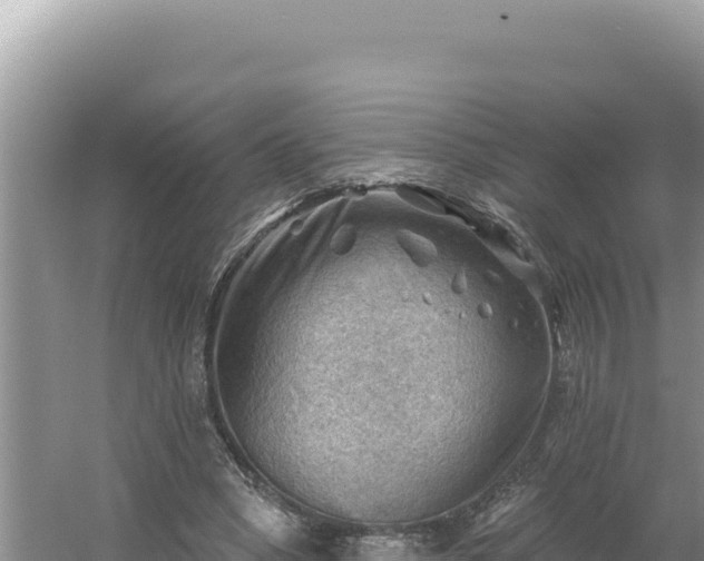 X0000054400394200508051719