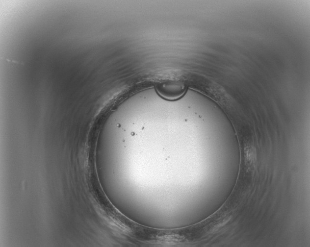 X0000054400396200508051719