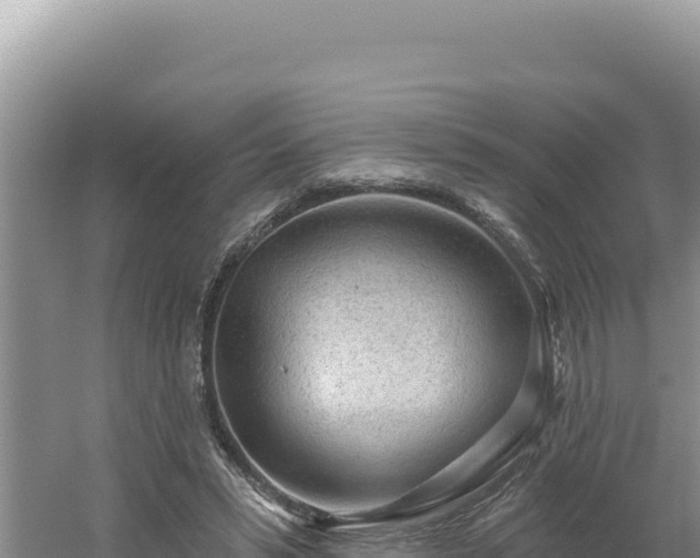 X0000054400399200508051719