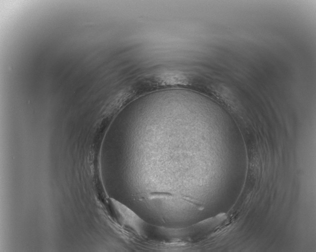 X0000054400402200508051719