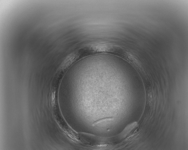 X0000054400406200508051719