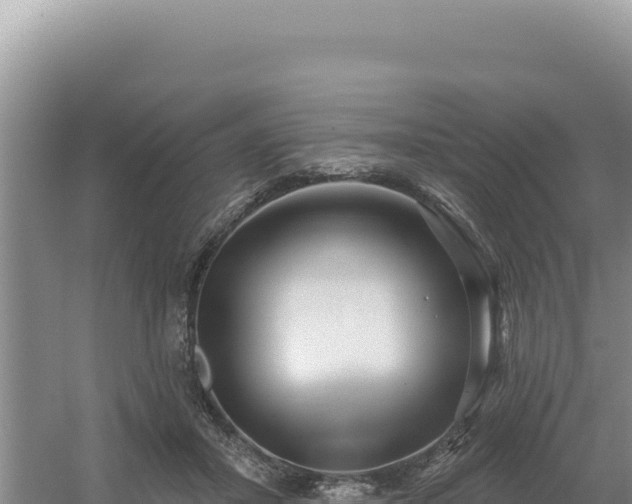 X0000054400407200508051719