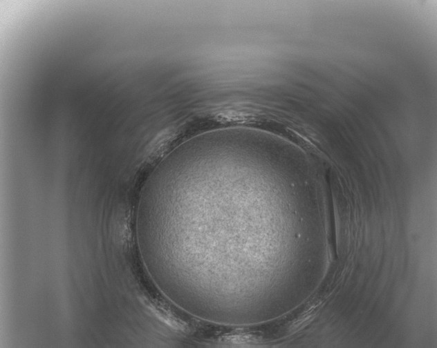 X0000054400408200508051719