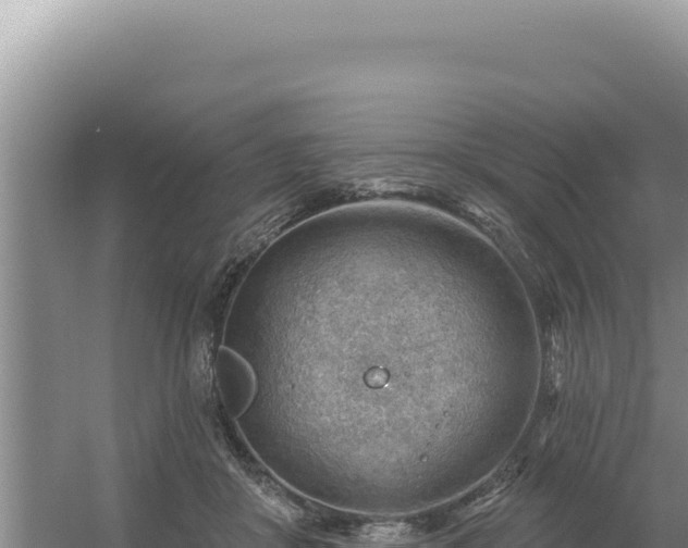 X0000054400410200508051719