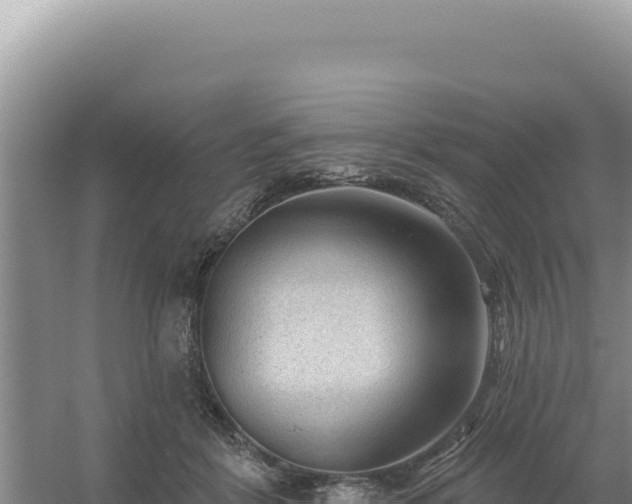 X0000054400412200508051719