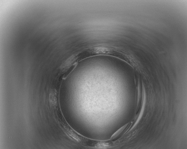 X0000054400413200508051719